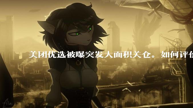 美团优选被曝突发大面积关仓。如何评价？