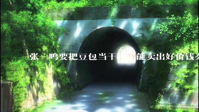 张一鸣要把豆包当干粮，能卖出好价钱么_字节_用户_业务
