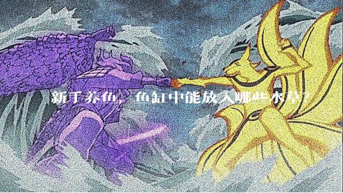新手养鱼，鱼缸中能放入哪些水草？