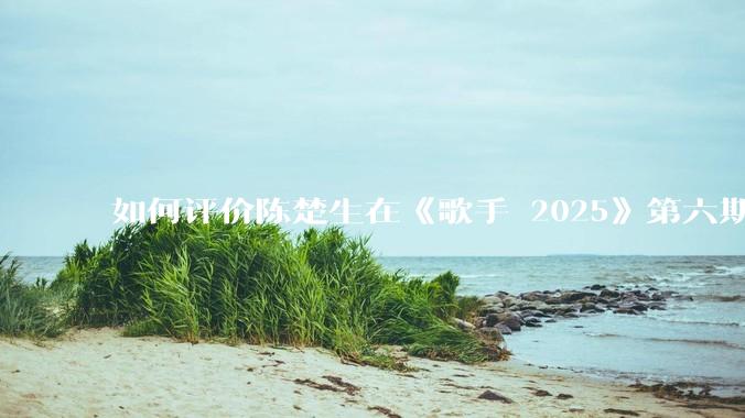 如何评价陈楚生在《歌手 2025》第六期演唱的《未来的主人翁》？